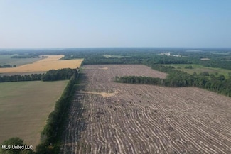 0 D Bates Rd, Morton, MS 39117
