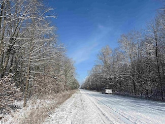 0 Big Four Rd Unit 1940561, Bear Lake, MI 49614