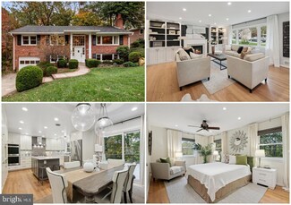 3844 26th St N, Arlington, VA 22207