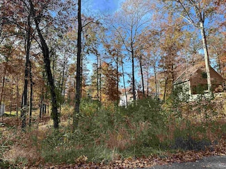 0 Rising Sun Ln Unit 10209831, Counce, TN 38326