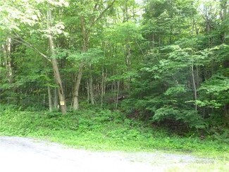 175 Bielers Run Rd, Midland, PA 15059