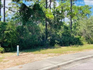 129 Anhinga Ct, Carrabelle, FL 32322