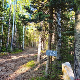 505 Wildflower Dr, Cimarron, CO 81220