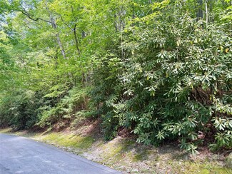 115 Black Oak Dr, Sapphire, NC 28774