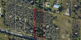 0 Luna Dr Unit 254 MFRO6316264, Saint Cloud, FL 34773