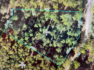 0 Softstone Dr Unit MFRTB8415292, Webster, FL 33597