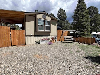 308 Canyon Cir, Pagosa Springs, CO 81147
