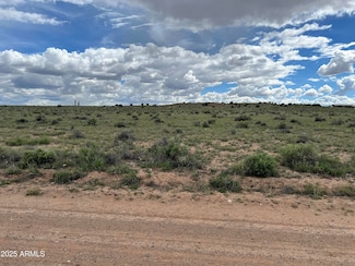 TBD 40 Acres Carrizo Ranch -- Unit 249, Saint Johns, AZ 85936