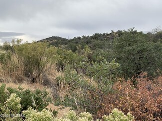 0 W Oak Hills Dr Unit 22132304, Oracle, AZ 85623