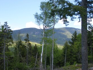 tbd Mountain Rd, Coplin Plantation, ME 04982