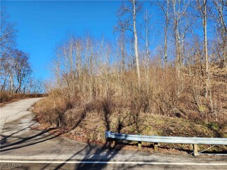 0 W Captina Hwy, Alledonia, OH 43901
