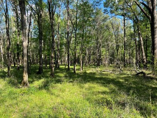 TBD Pete Garrett Rd, Goodrich, TX 77335