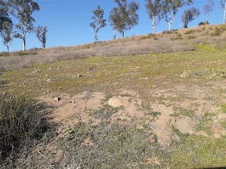 0 Lake View Ave Unit SW25136935, Lake Elsinore, CA
