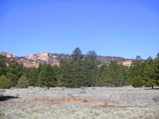 Lot 16 Culebra Dr, Ramah, NM 87321