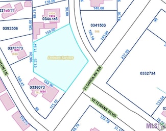TBD Highway 190, Denham Springs, LA 70726