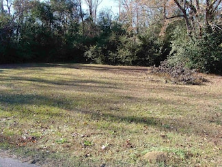 2 N Morgan Ave Unit LOT 2 BLK 68, Andrews, SC 29510