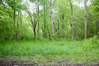 TBD S Preston Hwy, Tunnelton, WV 26444