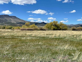 Tract 4 El Ddorado Ln, South Fork, CO 81154