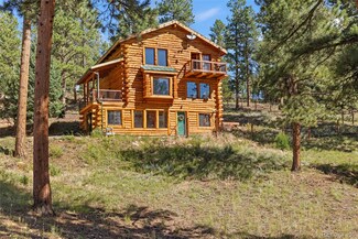 310 Holmes Gulch Rd, Bailey, CO 80421