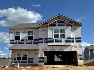 809 Pinhoti St, Johnson City, TN 37604