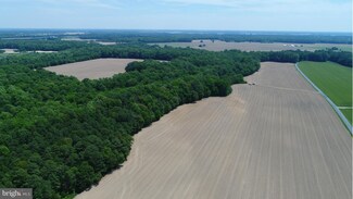 0 Beaver Dam Rd Unit 1000049235, Trappe, MD 21673