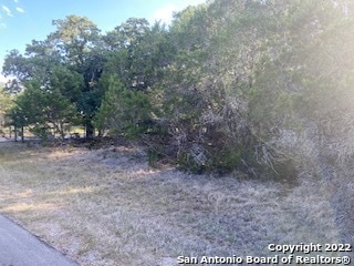 750 Misty Ln, Springbran, TX 78070