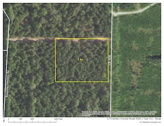 TBD County Road 4520, Warren, TX 77664