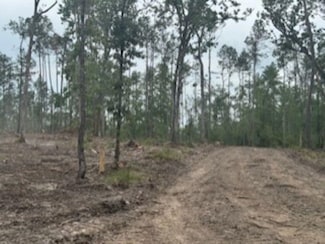 3870 tract 1 W Cr 2590, Chester, TX 75936