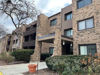 1100 E Randville Dr Unit 304, Palatine, IL 60074
