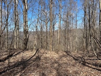 0 176+ -Acres Tennessee 108, Morrison, TN 37357