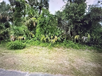 0 Bow Run Unit 2 225004331, Labelle, FL 33935
