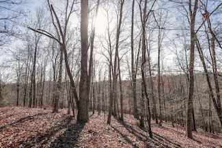 Tract 5 Brookstone Heights Ln, Dayton, TN 37321