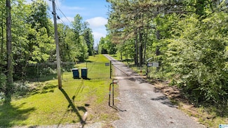 390 Chamblee Ln, Warrior, AL 35180