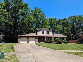 4601 Timberview Dr, Lorain, OH 44053