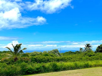 0 Kia Kahi St Unit 670218, Naalehu, HI 96772
