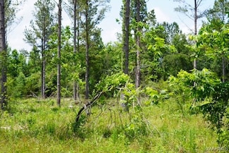 0 Pineapple Hwy, Forest Home, AL 36030