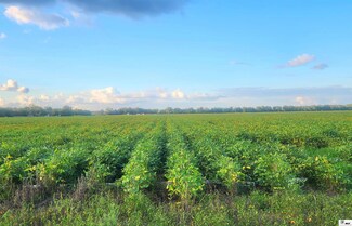 2000 Stubbs Ritchie Rd, Monroe, LA 71203
