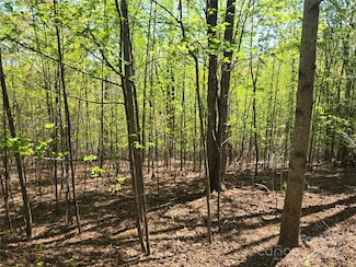 Lot 14 Back Hollow Dr, Lake Lure, NC 28746