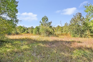 1224 Plum Pudding Rd, Livingston, TX 77351