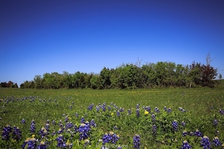 TRACT 5A Caney Creek Rd, Chappell Hill, TX 77426