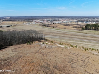 252 Shinpoch Ln, Olive Branch, MS 38654