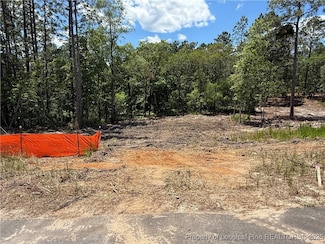 468 Blossom Trail, Lillington, NC 27546