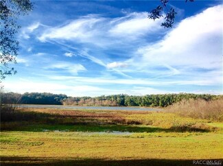 3621 E Lake Nina Dr, Inverness, FL 34453
