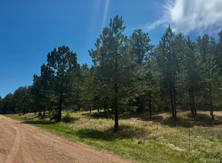7707 Inca Rd, Larkspur, CO 80118