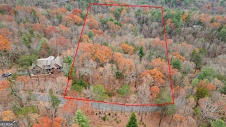 0 Oceola Dr Unit 10425648, Ellijay, GA 30540