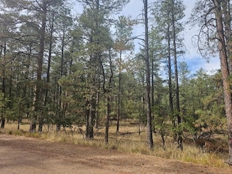 00 Homewood Dr Unit 33, Timberon, NM 88350