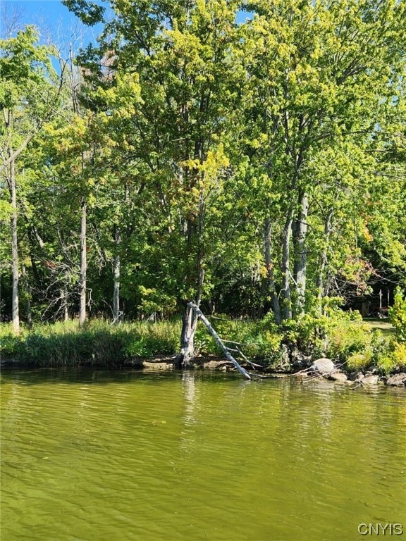 7233 & 7236 Farnham Rd, Lysander, NY 13112 MLS S1507086