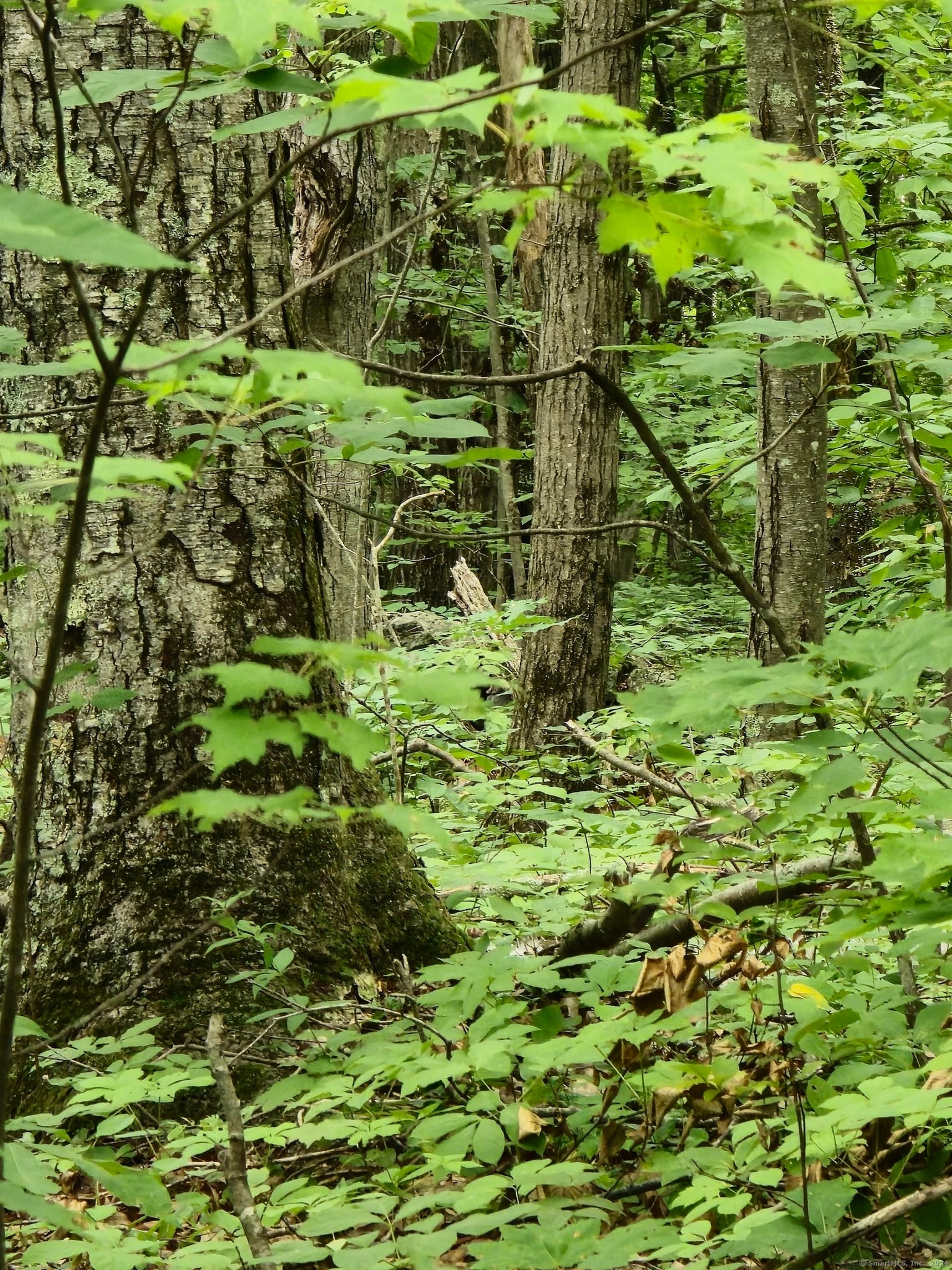 0 Gorham Rd Unit 24048680, Kent, CT 06757 MLS 24048680