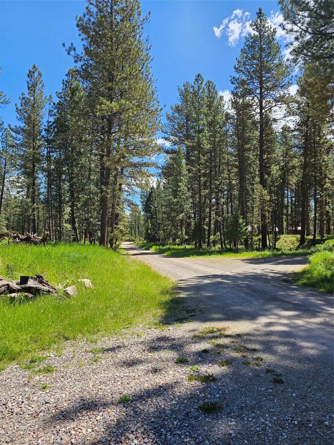 3322 Chokecherry Rd, Lincoln, MT 59639 MLS 30028999