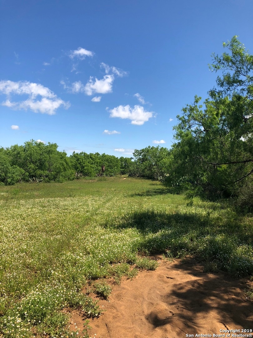 581 County Road 2875, Bigfoot, TX 78005 MLS 1430706